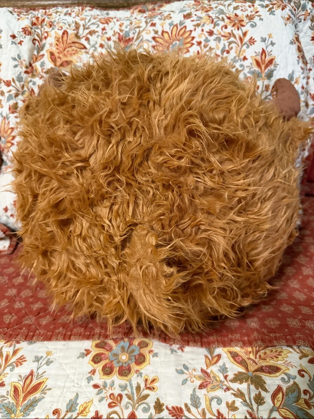 Ninazy Plushies Shaggy Highland Cow Plush in Golden Tan